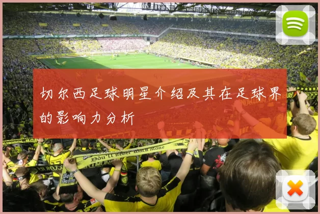 切尔西足球明星介绍及其在足球界的影响力分析