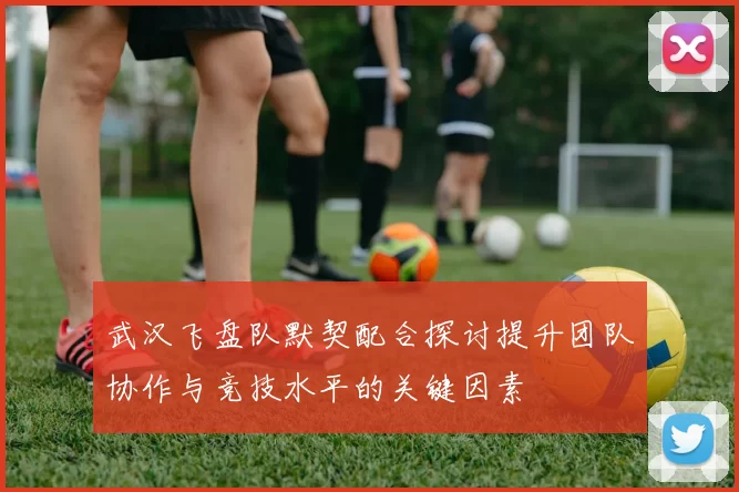 武汉飞盘队默契配合探讨提升团队协作与竞技水平的关键因素