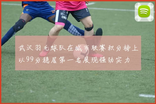 武汉羽毛球队在城市联赛积分榜上以99分稳居第一名展现强劲实力
