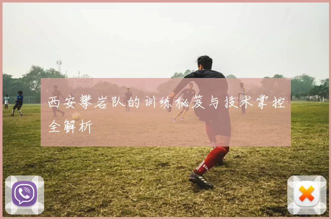 西安攀岩队的训练秘笈与技术掌控全解析