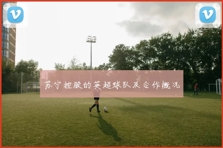 苏宁控股的英超球队及合作概况