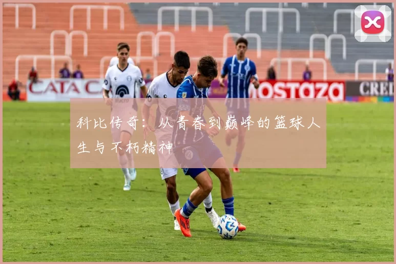 科比传奇：从青春到巅峰的篮球人生与不朽精神