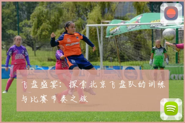 飞盘盛宴：探索北京飞盘队的训练与比赛节奏之旅