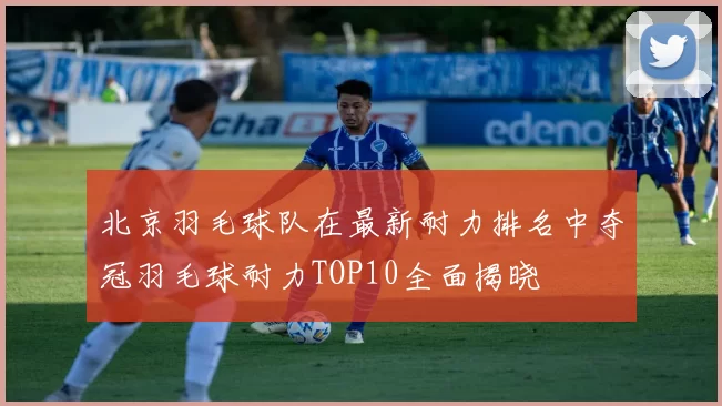 北京羽毛球队在最新耐力排名中夺冠羽毛球耐力TOP10全面揭晓