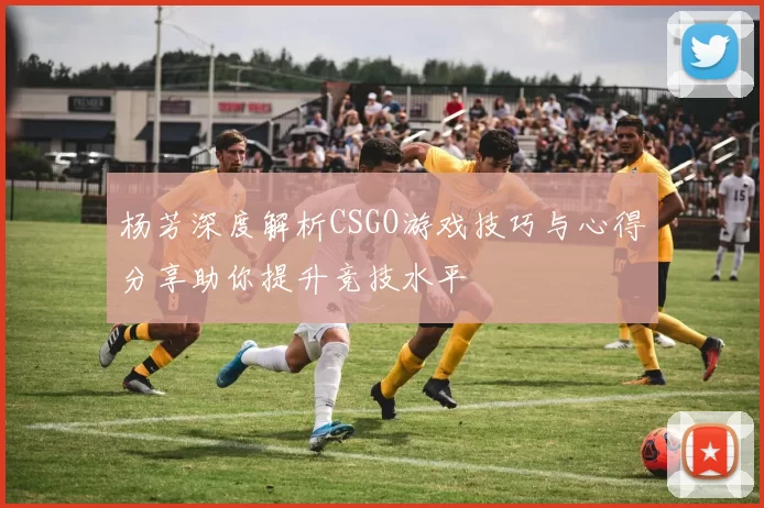 杨芳深度解析CSGO游戏技巧与心得分享助你提升竞技水平
