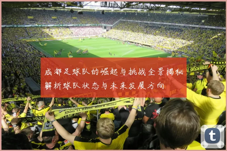 成都足球队的崛起与挑战全景揭秘解析球队状态与未来发展方向