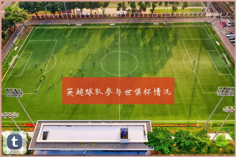 英超球队参与世俱杯情况