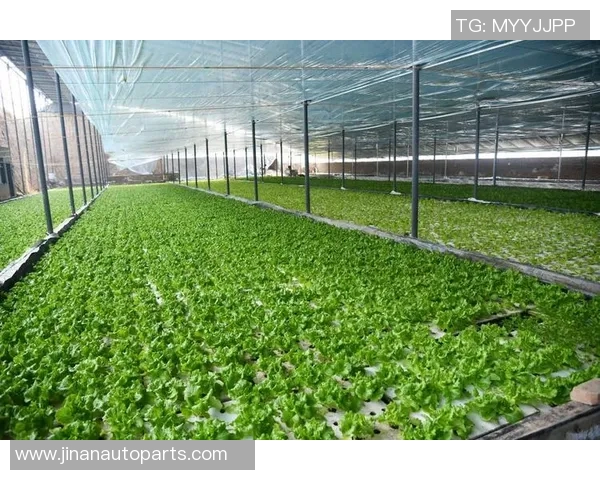 果园生态循环与可持续发展：探索现代农业的绿色转型之路