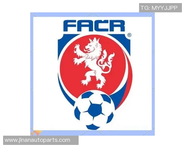 欧洲杯历史回顾与未来展望：从辉煌到挑战的足球盛宴